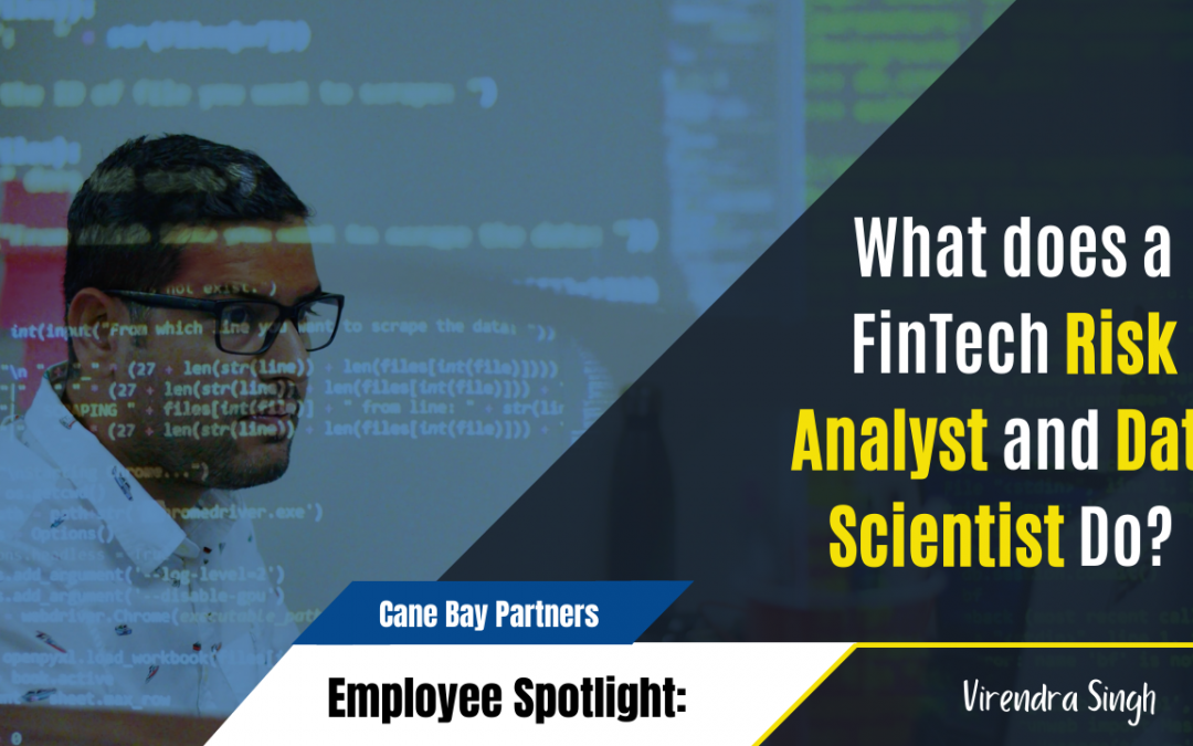What does a FinTech Risk Analyst and Data Scientist Do - Cane Bay Partners